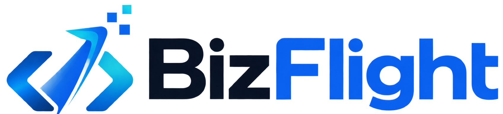 BizFlight